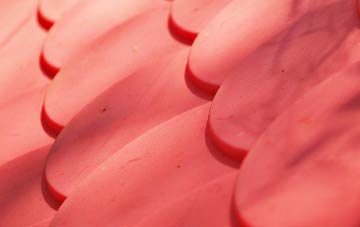 Little Reedness plastic roof costs